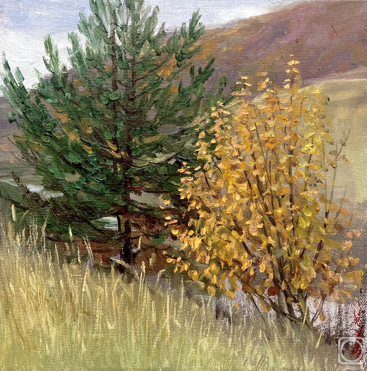 ������� ������ �� ������. ������-������� �����. ��� ������