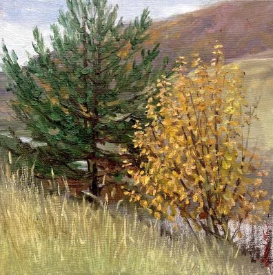 ��� ������. ������-������� �����