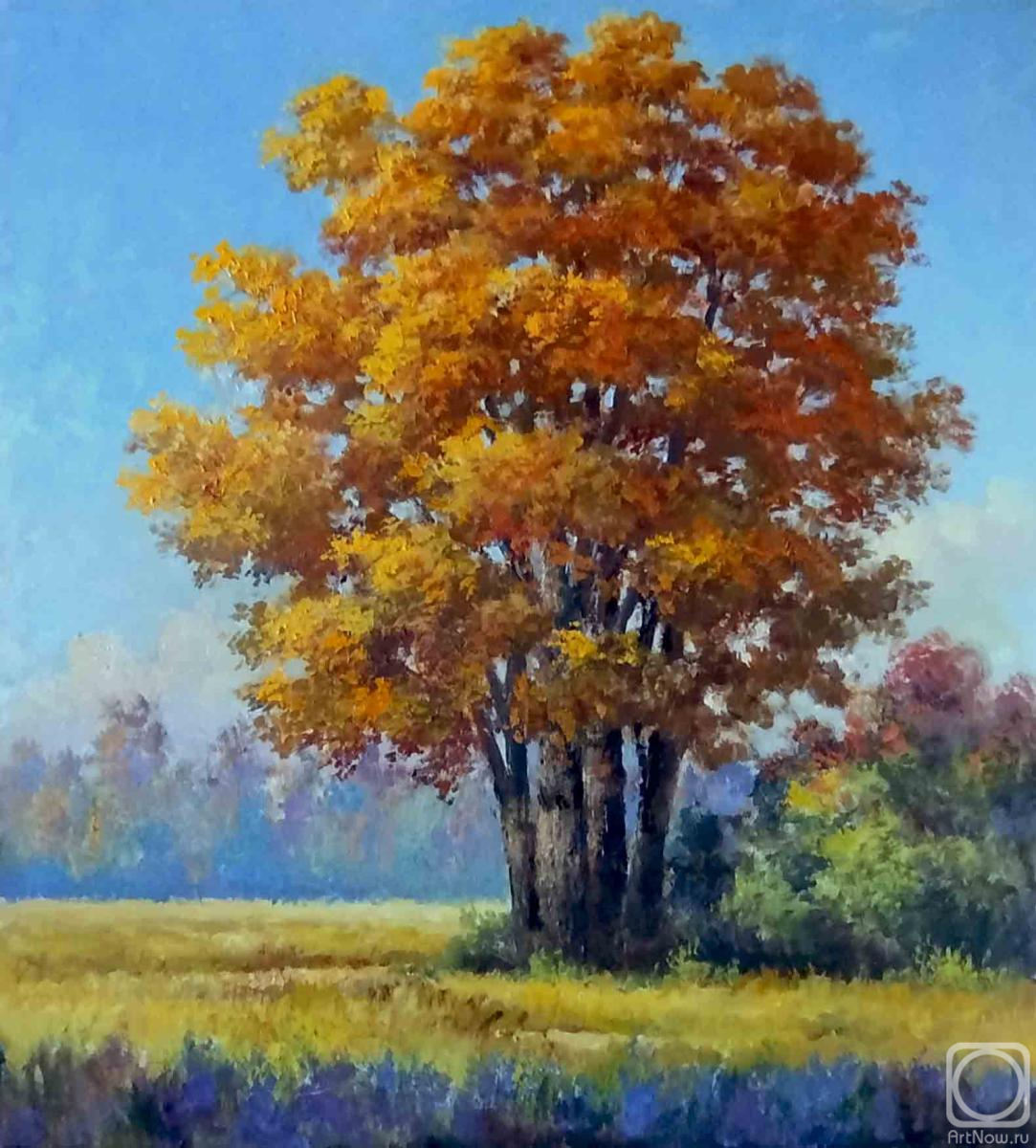 ������� ������ �� ������. �������� ���������. ������� ������