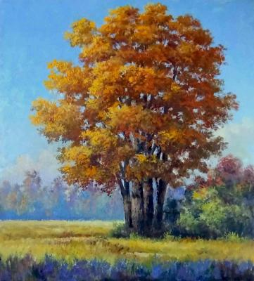 ������� �������� �������