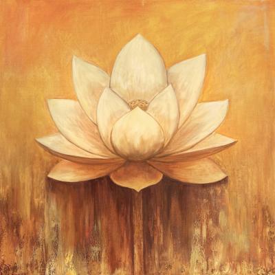 ���� ������. ������� ����