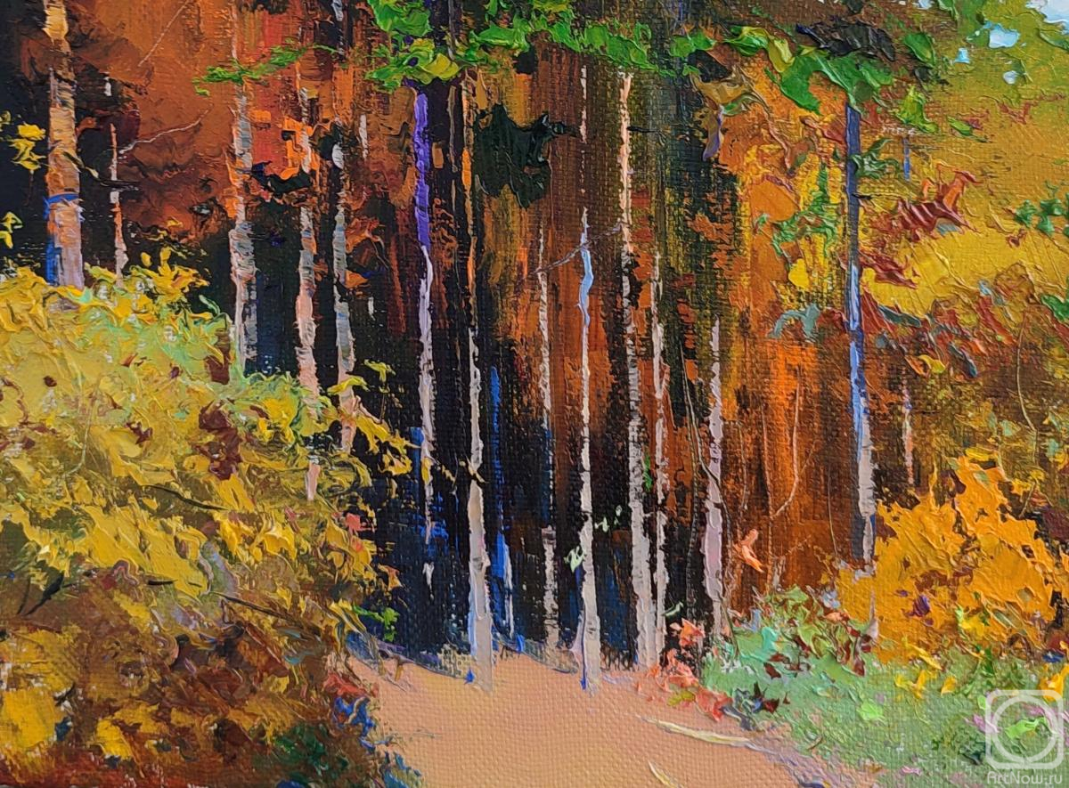 ������� ������ �� ������. ���������� �������. ������ � ���