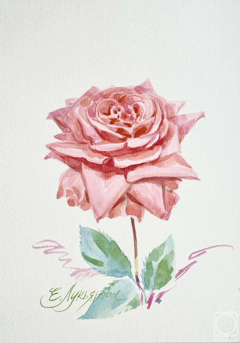 �������. ��������� ���������. ���� ����������� �����