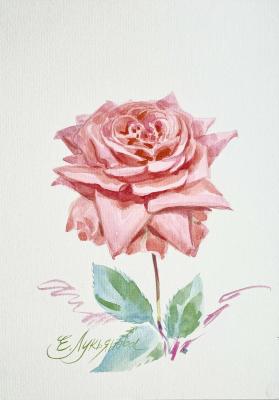 ���� ����������� �����. ��������� ���������