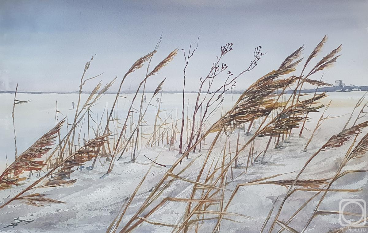 �������. �������� �������. ����� ����