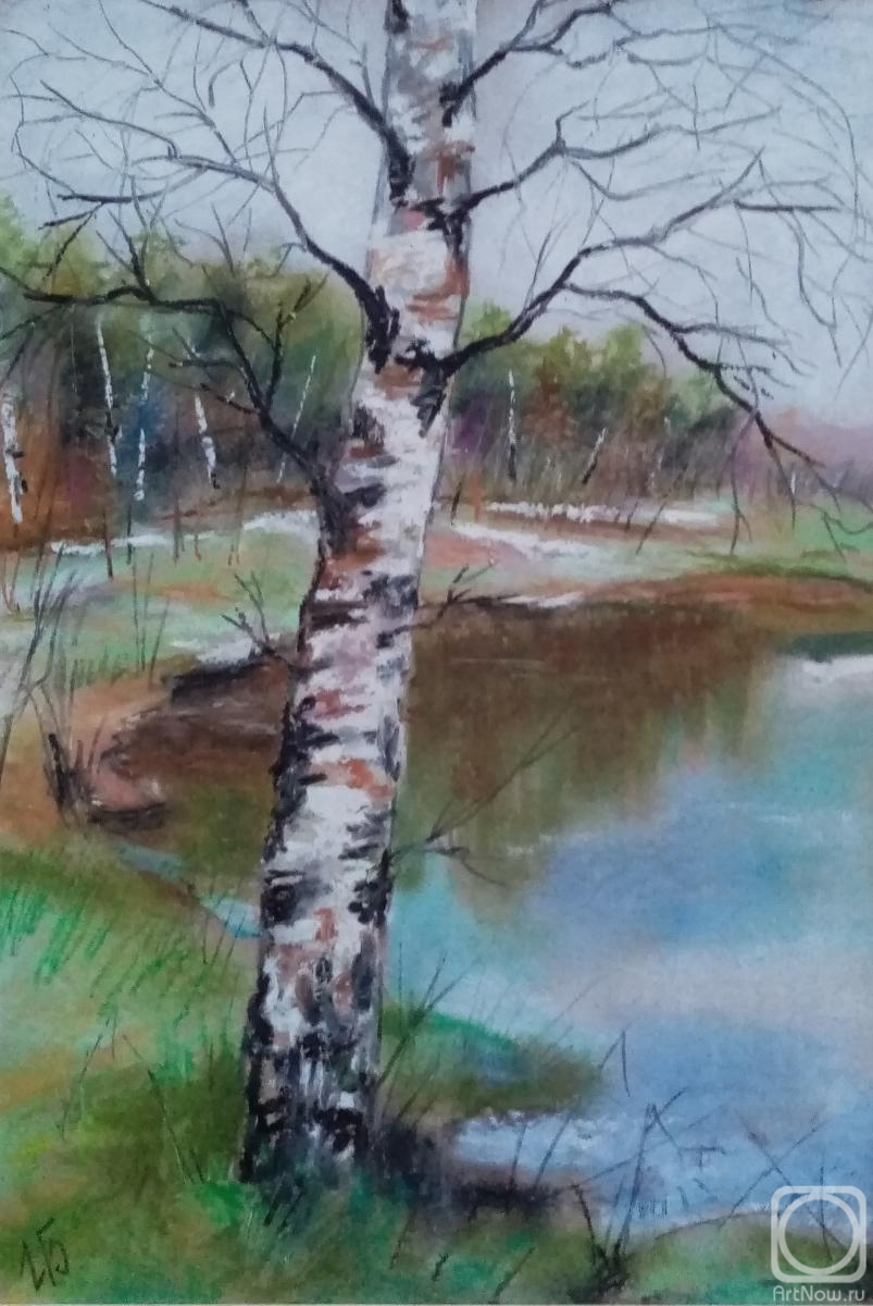 �������. ��������� �����. �����