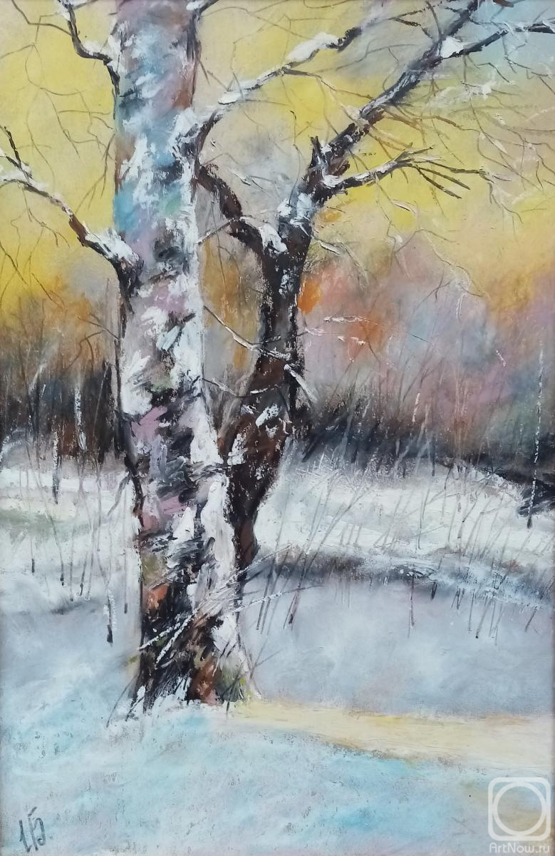 �������. ��������� �����. ������� ����