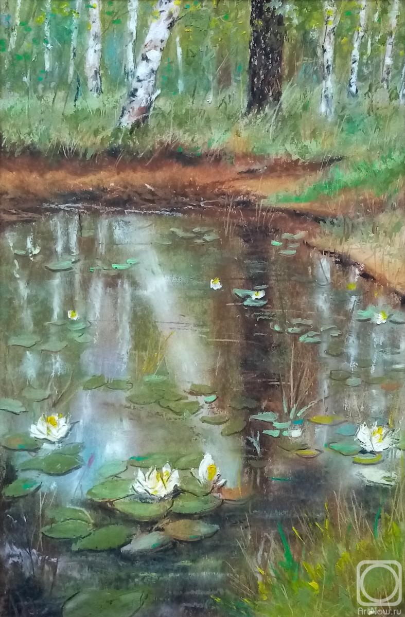 �������. ��������� �����. ������ �����