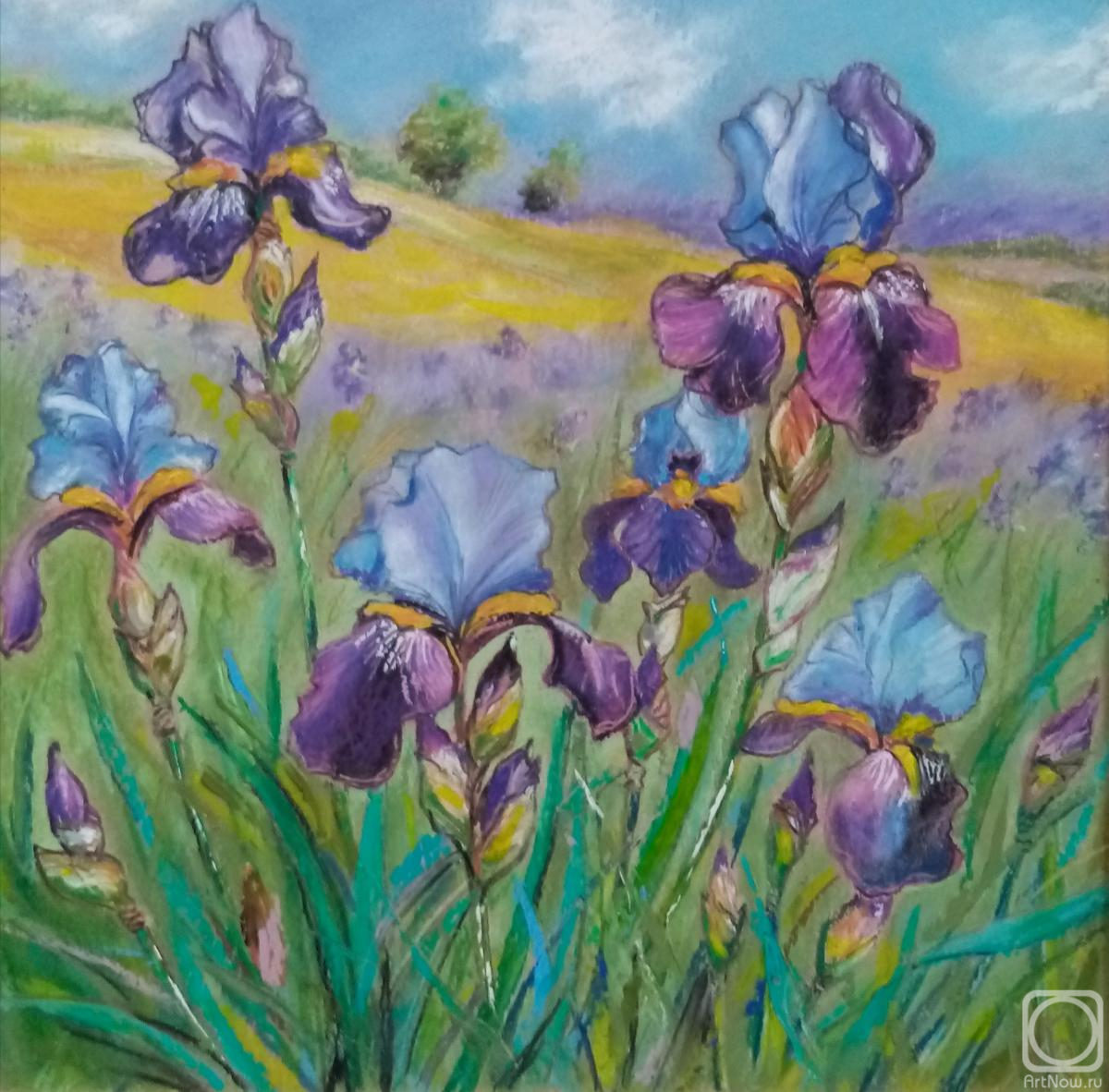 �������. ��������� �����. ������ � �������