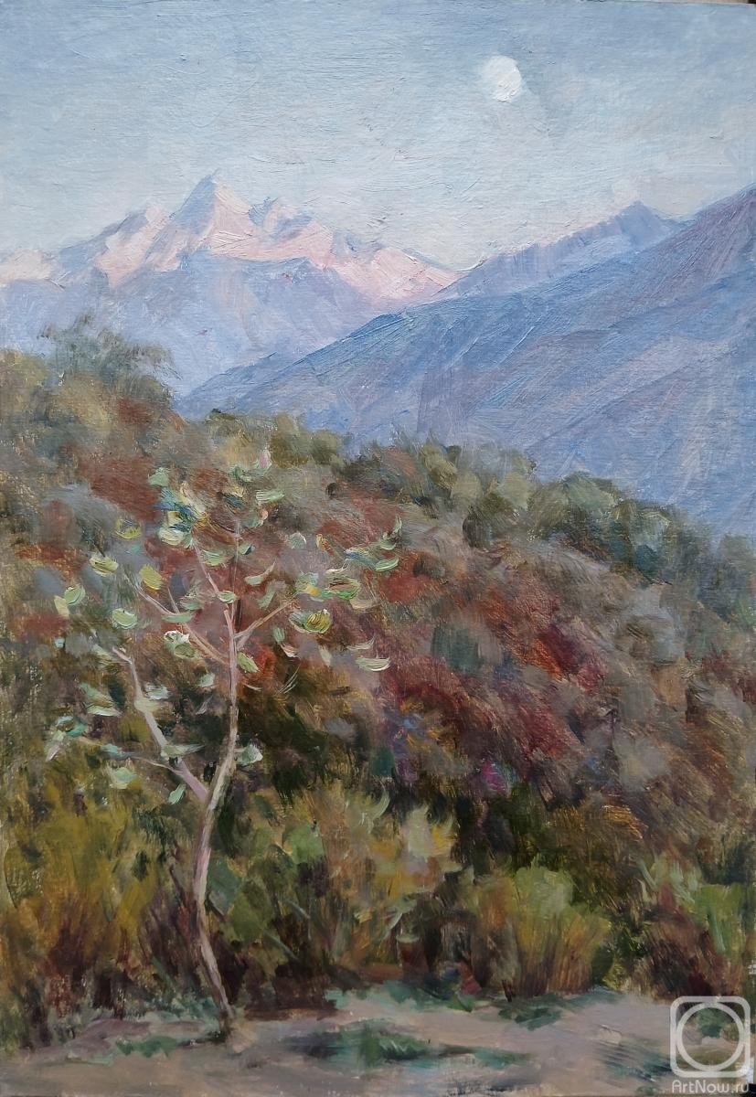 �������. ��������� �����. ��� � ���� ���-����. �����