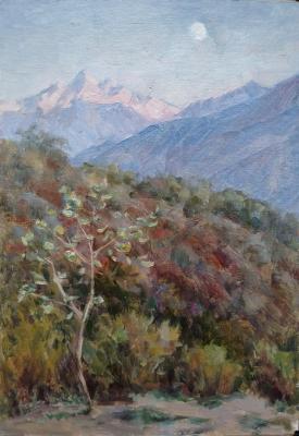 ��� � ���� ���-����. �����. ��������� �����