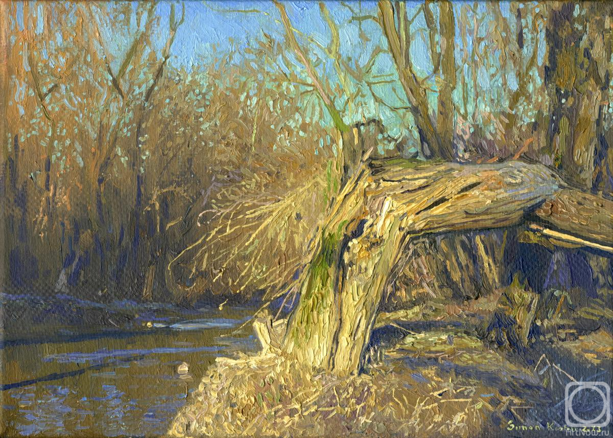 Kozhin Simon. A broken tree near the Likhoborka River