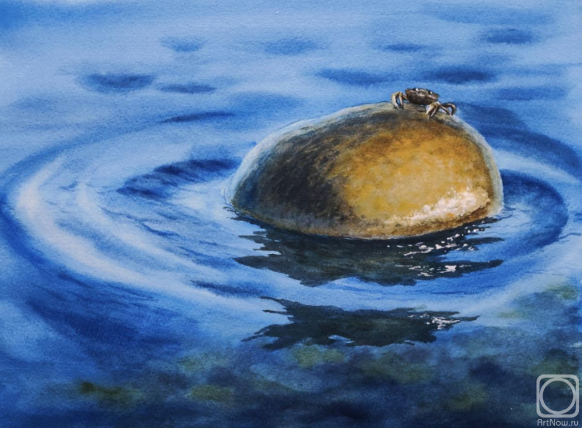 �������. �������� ��������. �������� �����