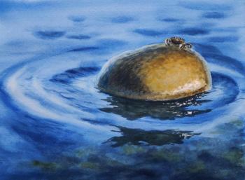 �������� �����