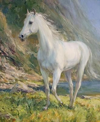 Grace, stones, river, lake, mountains, breeze, horse, steed