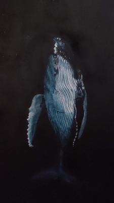 ���. �����������. ��������� �������