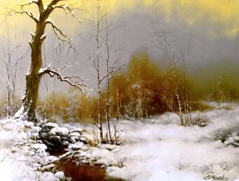 ������� ���������