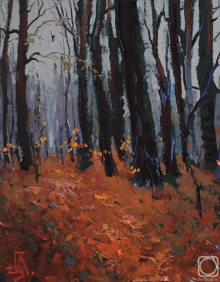 �������. ���������� �������. ����� �����