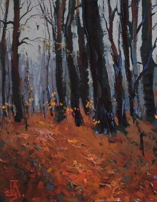 ����� �����. ���������� �������