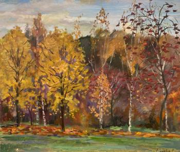 ������� ����� ������ �������