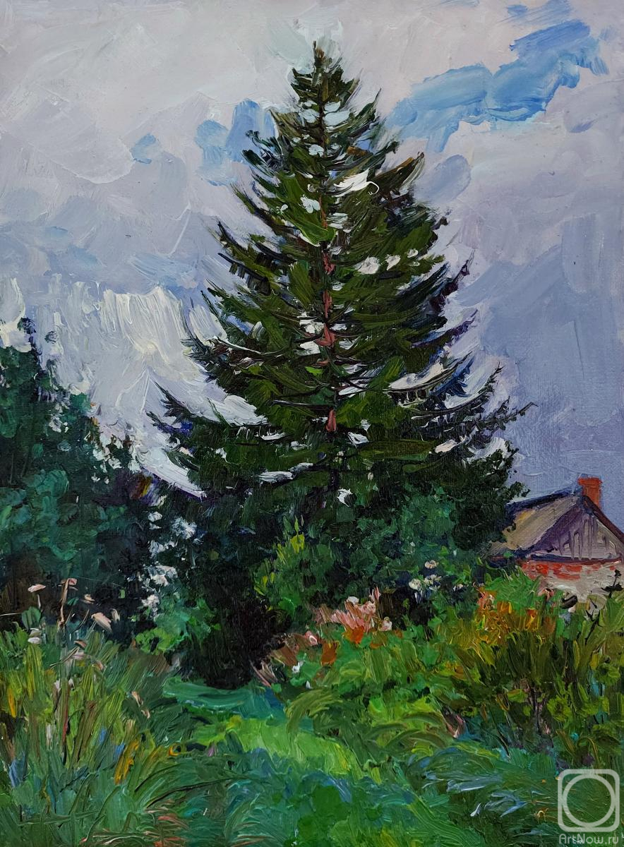 ������� ������ �� ������. ��������� ���������. ������� ���