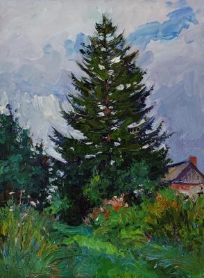 ������� ��� (������ � �����). ��������� ���������