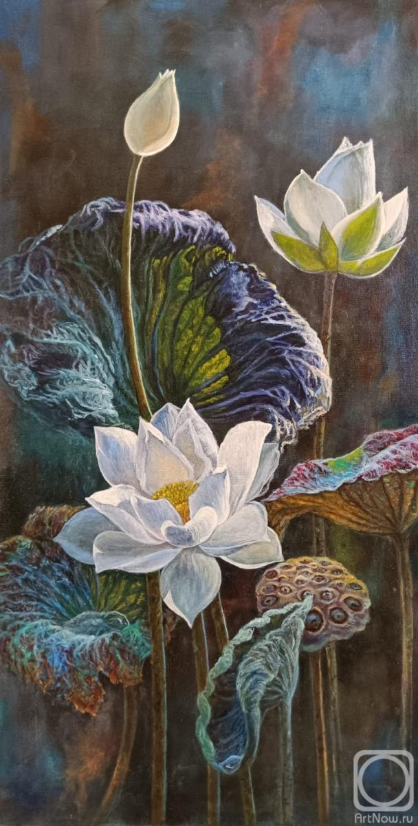 ������� ������ �� ������. ������� �����. ������