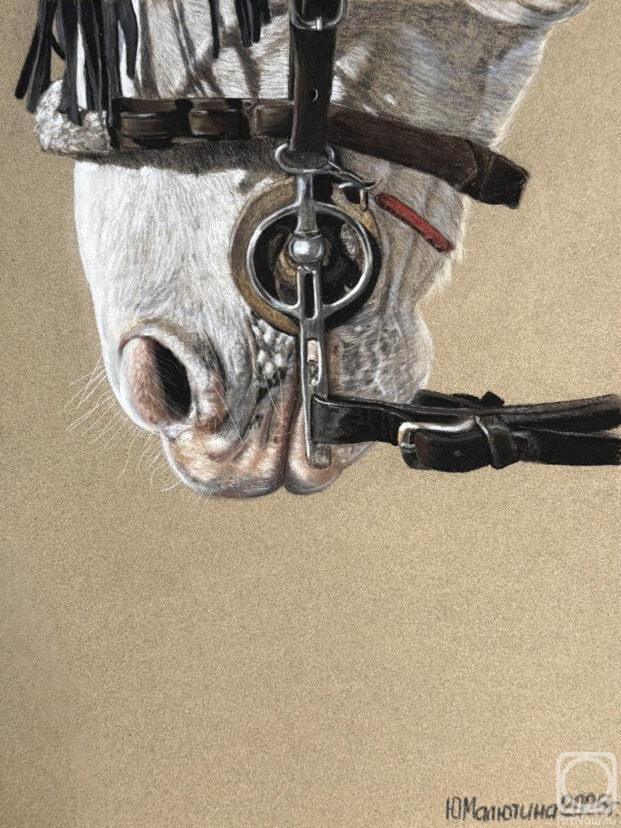 �������. �������� ����. ظ��� �������