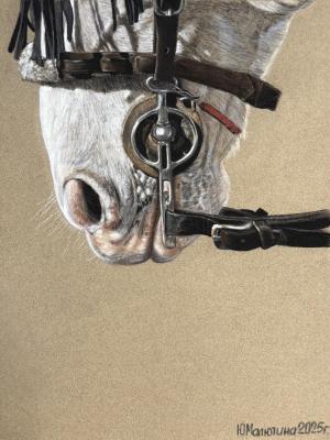 ظ��� ������� (������ ���������). �������� ����