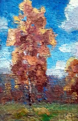 �������. ����� ���������