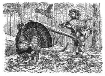 ������ ������. ����� �������