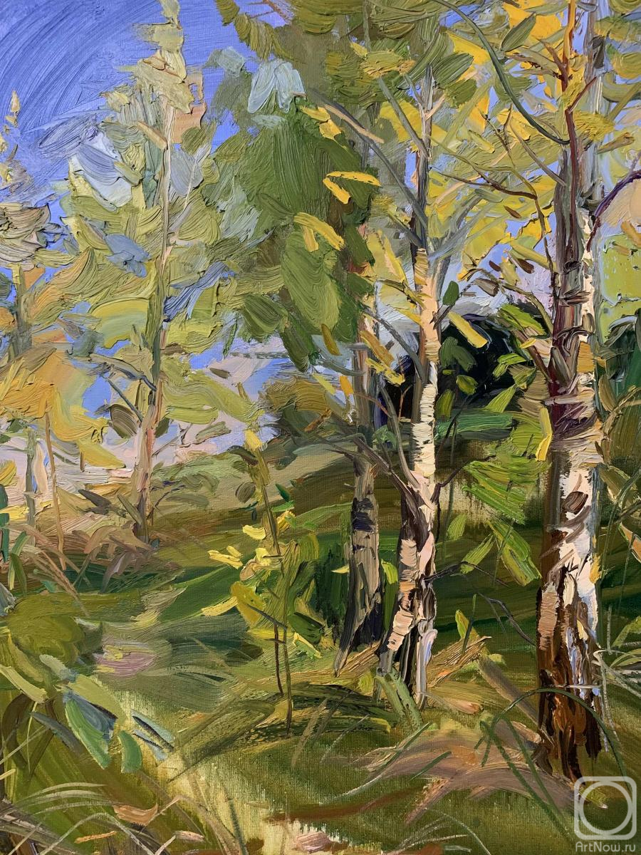 ������� ������ �� ������. ��������� �������. ��������