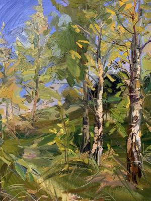 ������� ���������