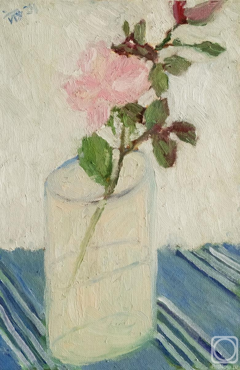 �������. ��� �����. ���� �������