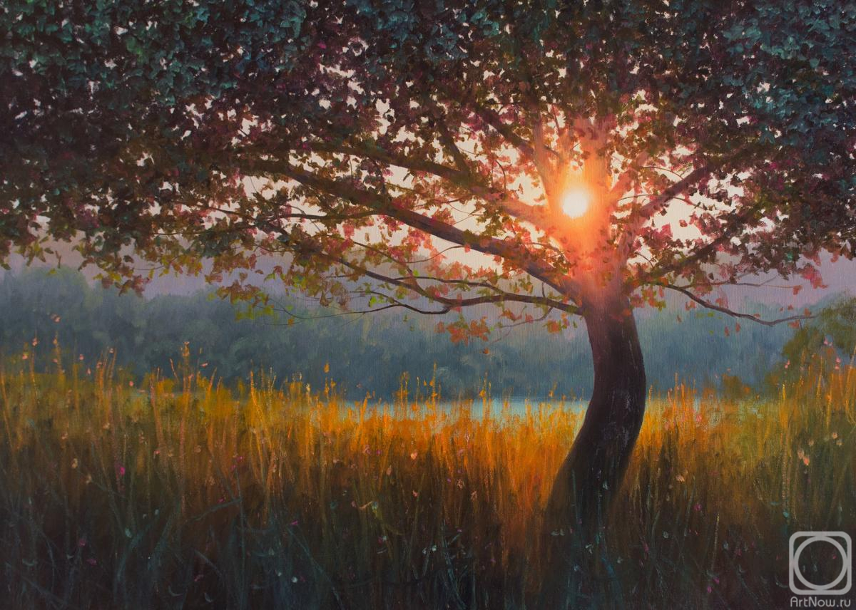 ������� ������ �� ������. ��� ��������. ����