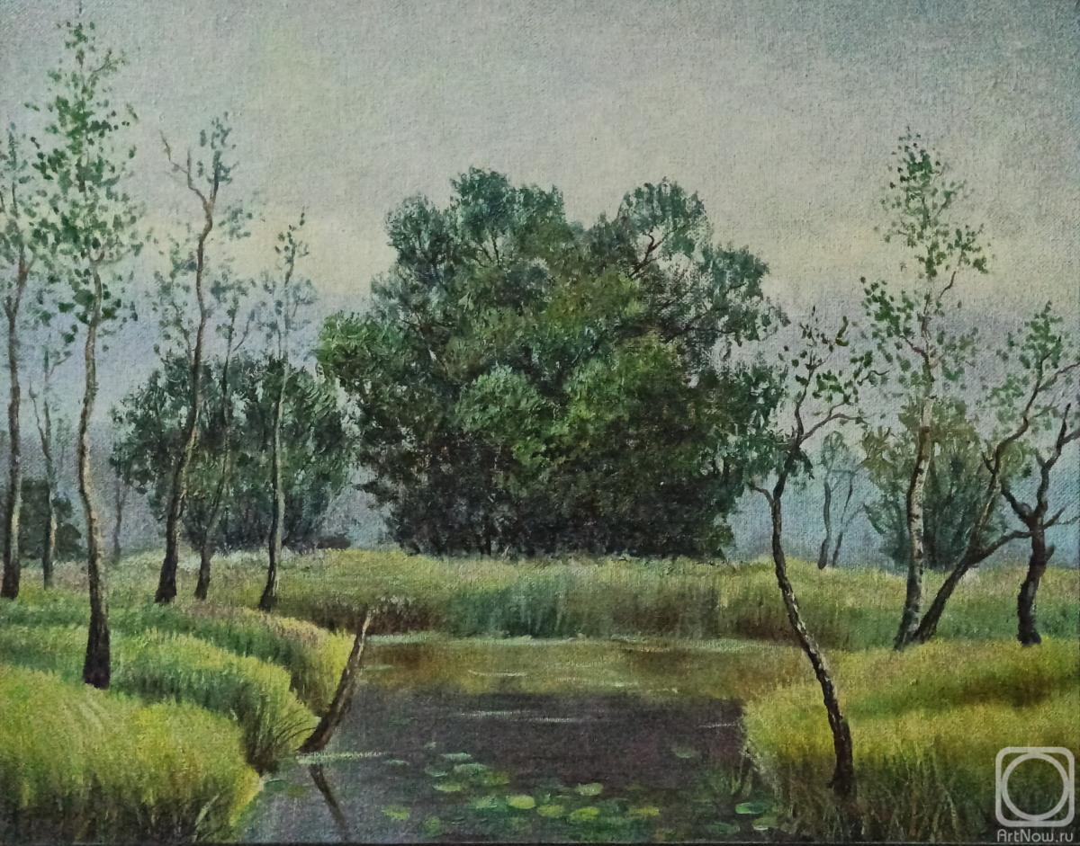 ������� ������ �� ������. ������ �������. ������