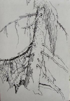 ������ ����. Roshina-Iegorova Oksana