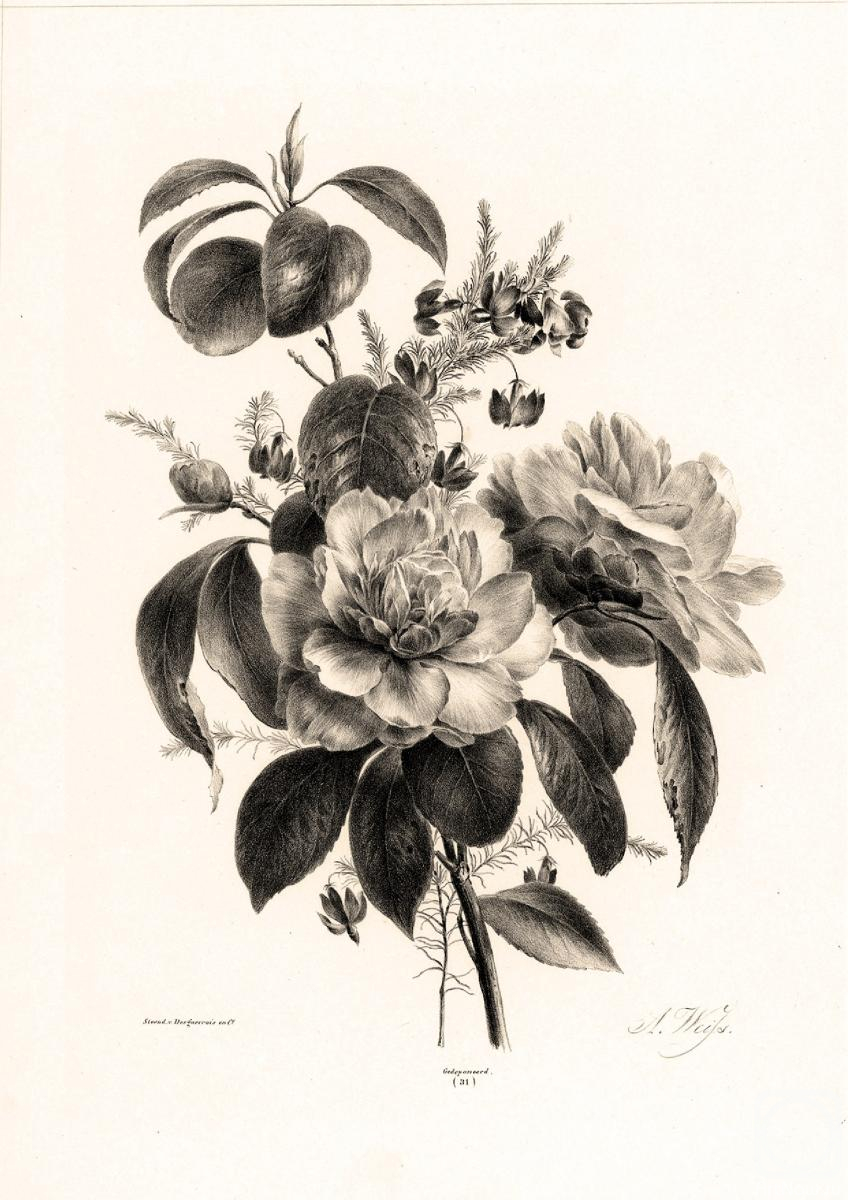 Kolotikhin Mikhail. Untitled