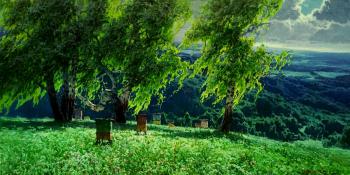 Apiary. Fedorov Mihail