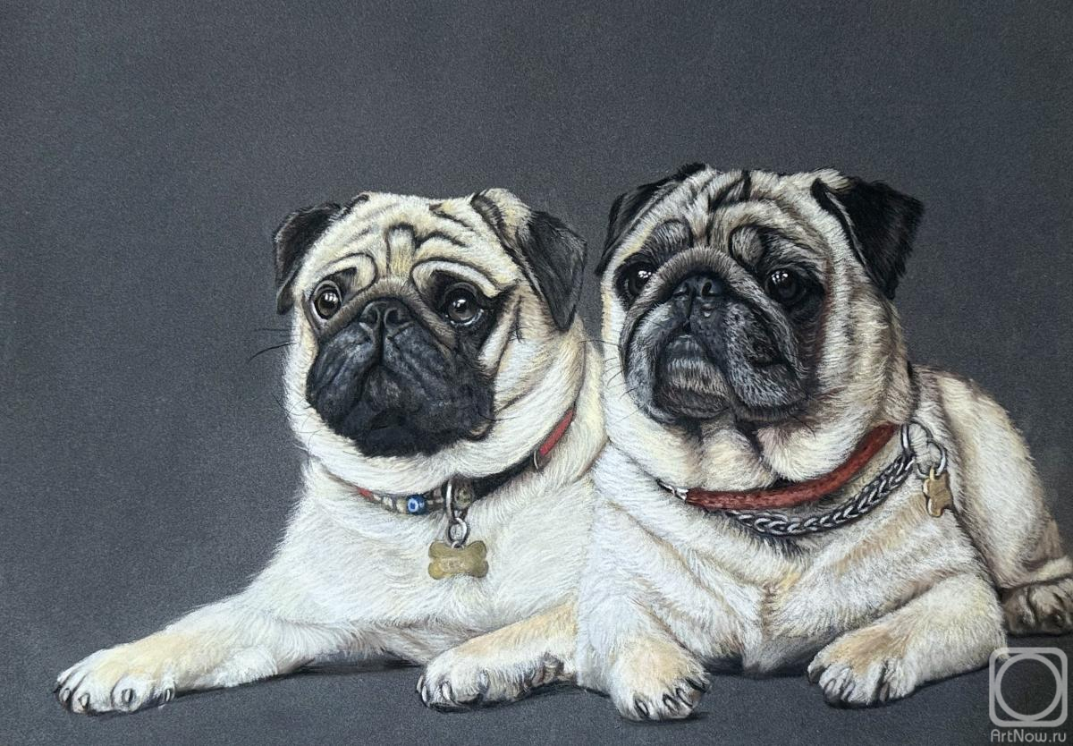 Malyutina Yuliya. Faithful Companions � Pugs