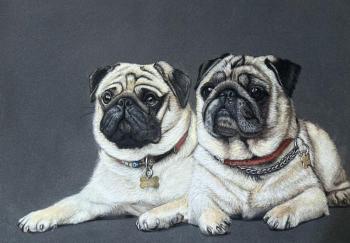 ������ ������ � �����. �������� ����