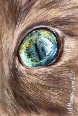 ���������� ������. �������� ����