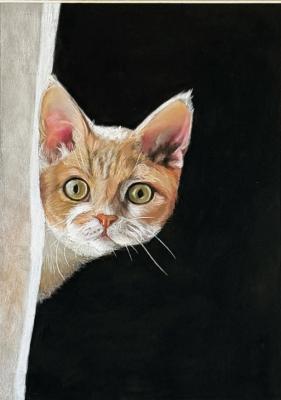 �� �������� � ����� ���. �������� ����