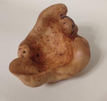 "Turtle", birch, cap, oil