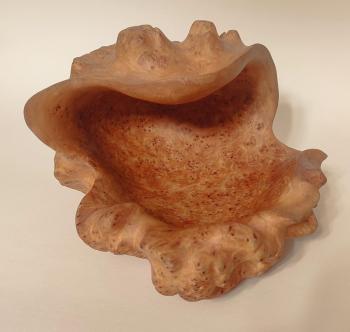 Shell", birch, cap, oil