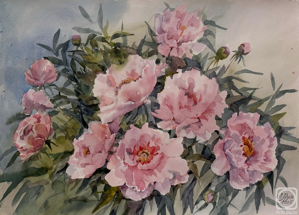 �������. ���������-������� �����. �����