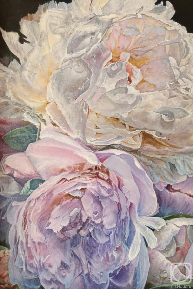 ������� ������ �� ������. ������� �����. ����� ����� ������