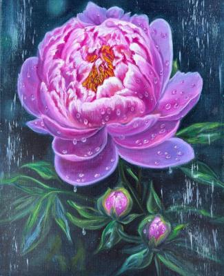 ���� � �������� ������� �����. �������� �������