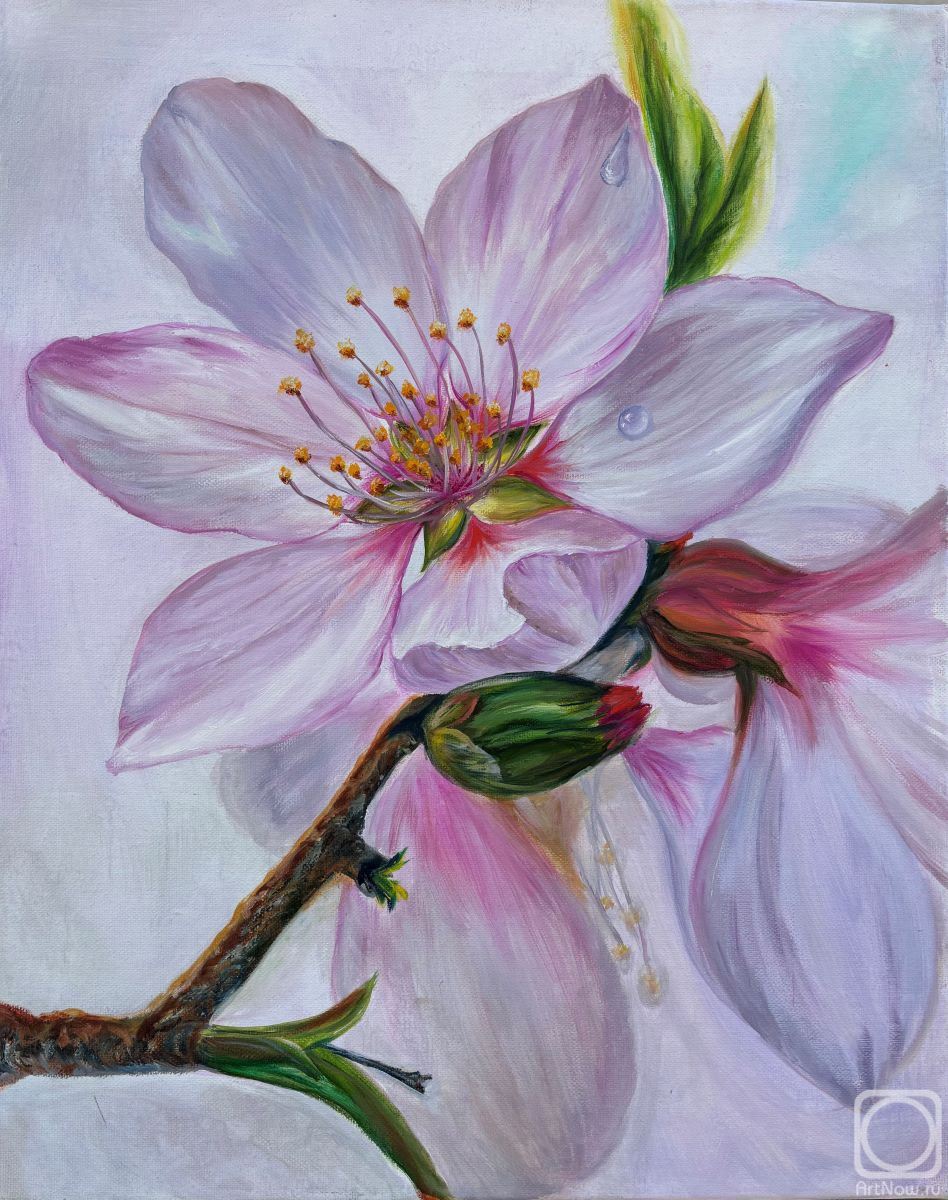 Savonina Nataliya. Delicate Blossom Hues