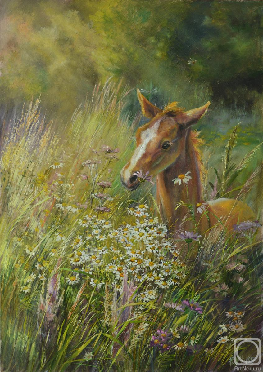 ������� ������ �� ������. ���������� ����. ����. ��������� �����